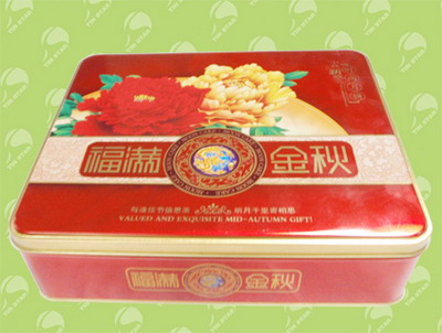 Packaging Tin Box u8974